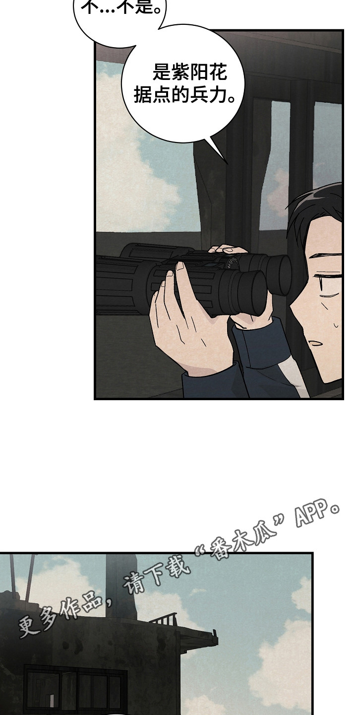 第4章：野外调查10