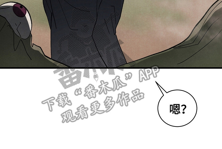 第8章：闯祸19