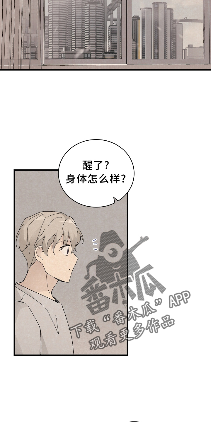 第62章：确认1