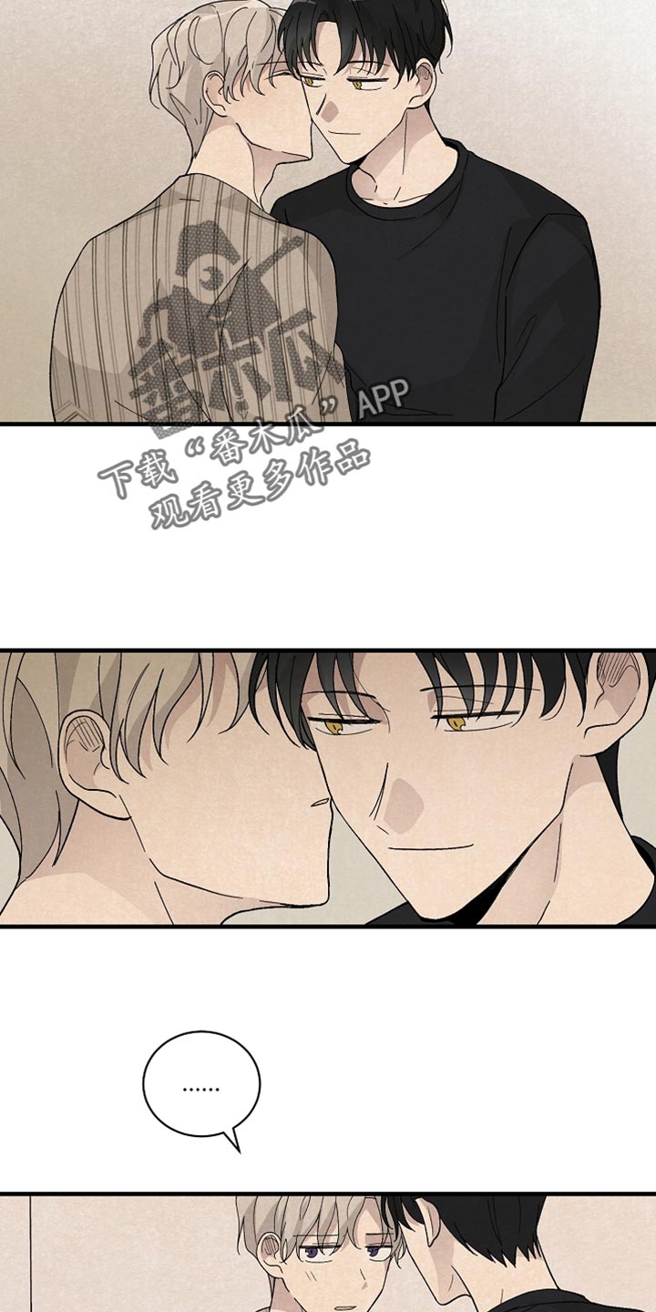 第37章：如实回答7