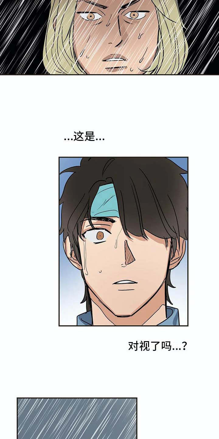 第17章：又回来了2