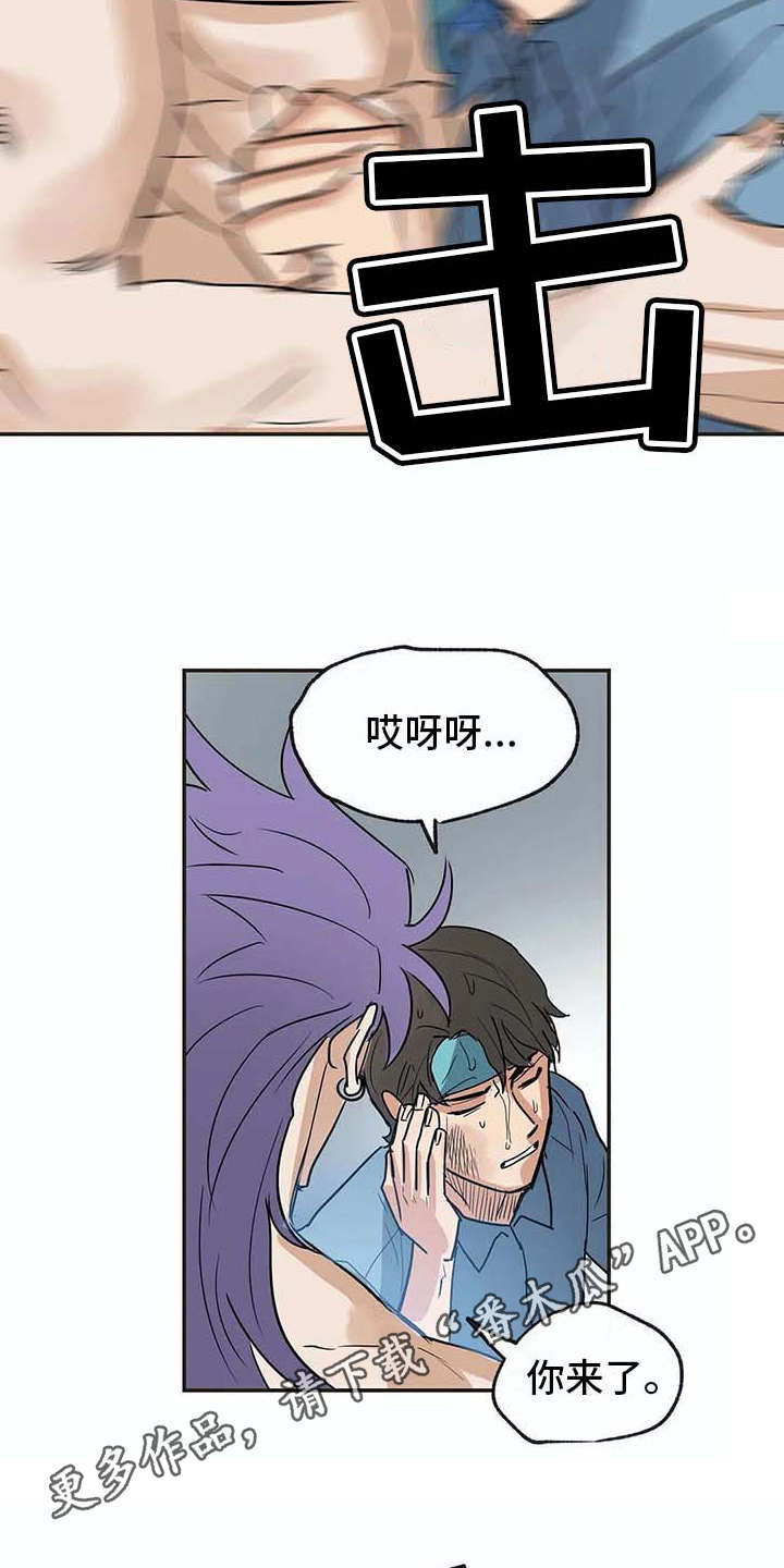 第17章：又回来了7