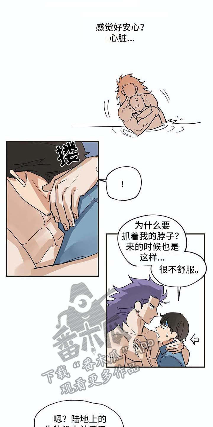 第17章：又回来了13