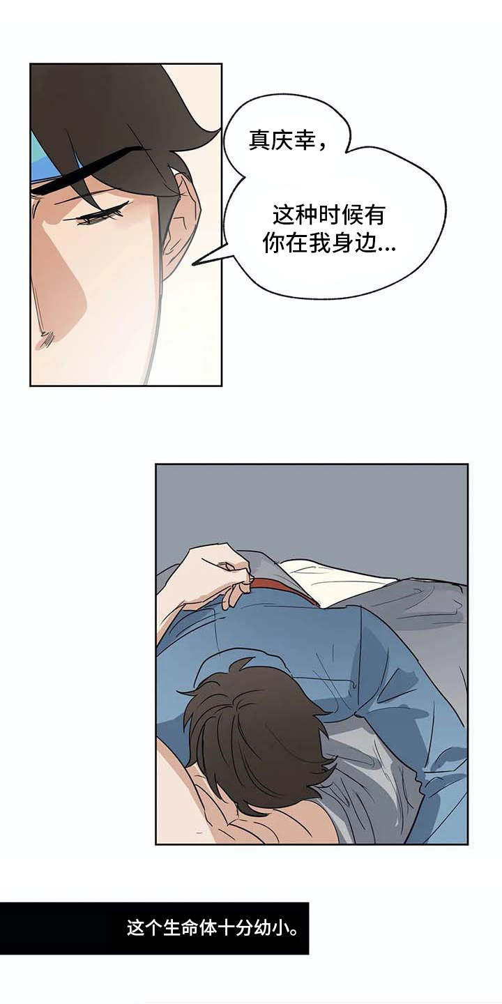 第31章：依靠12