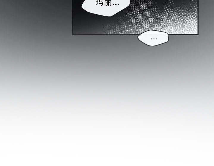第1章：海难13
