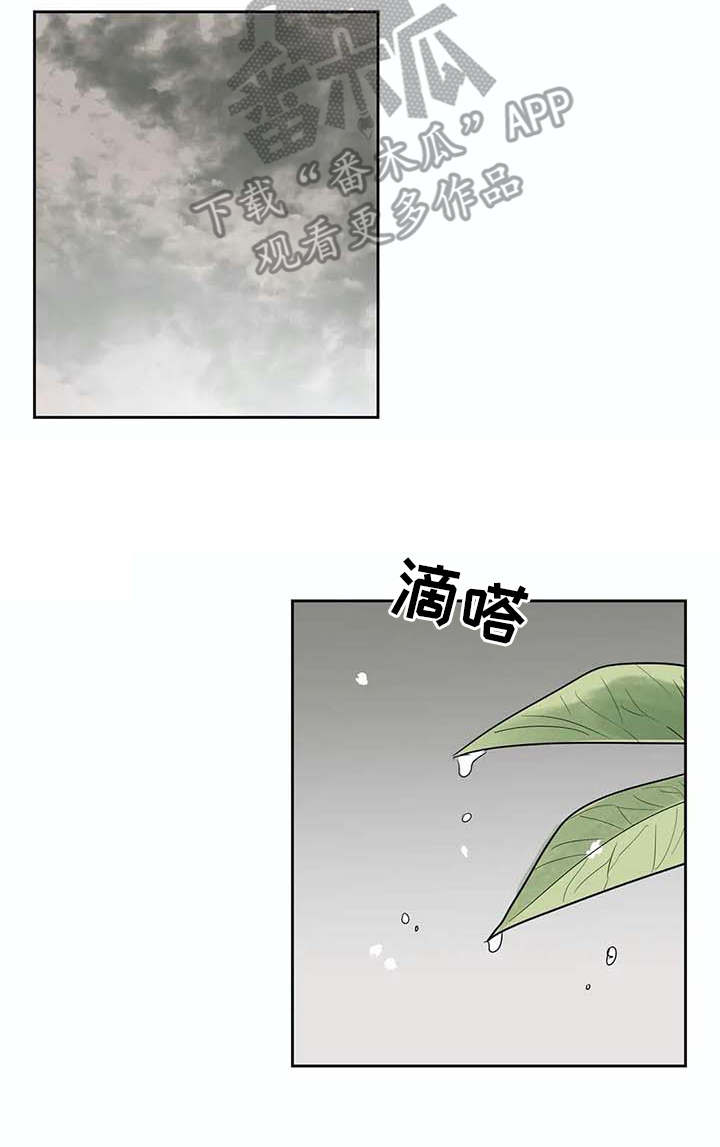 第27章：应对台风10