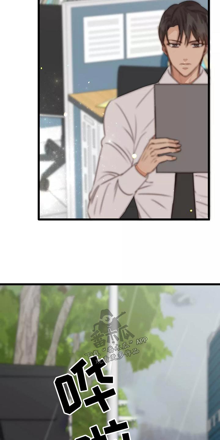 第21章：遮挡1