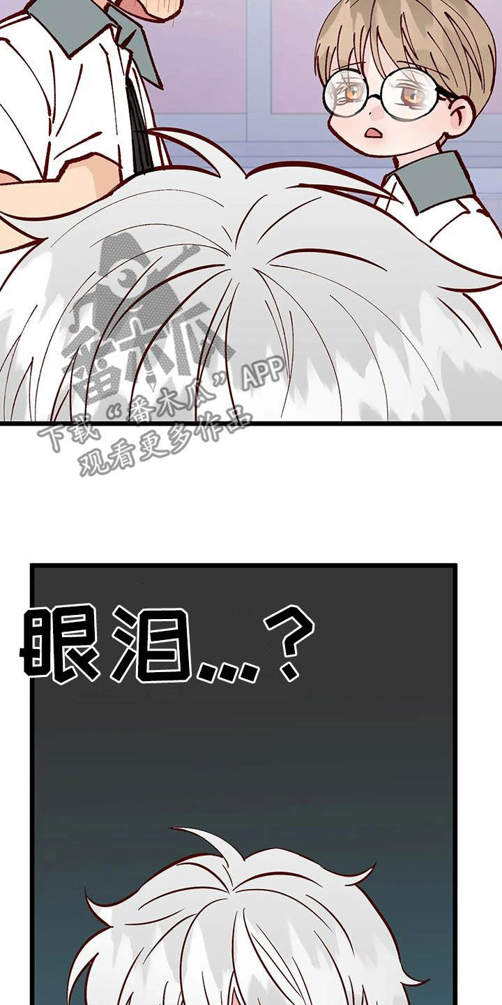 第34章：喜欢7