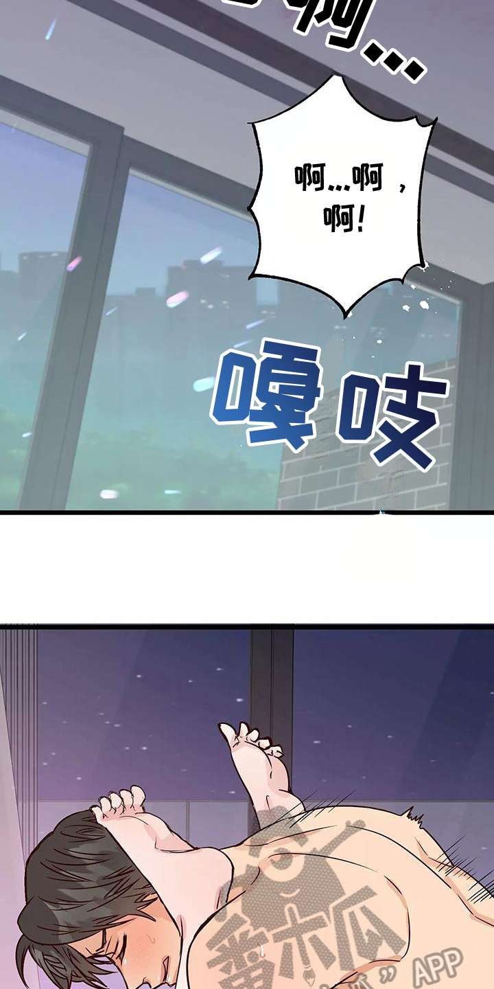 第16章：弱点11
