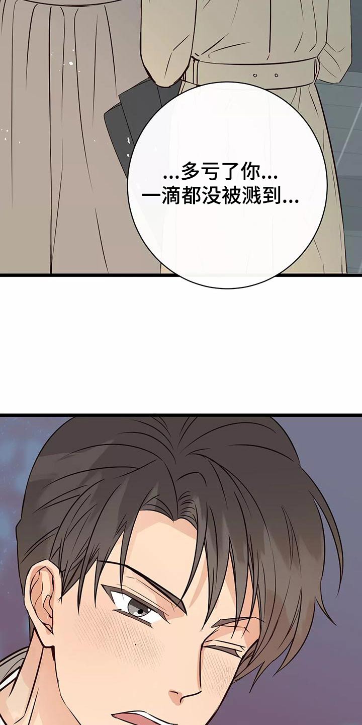 第21章：遮挡20