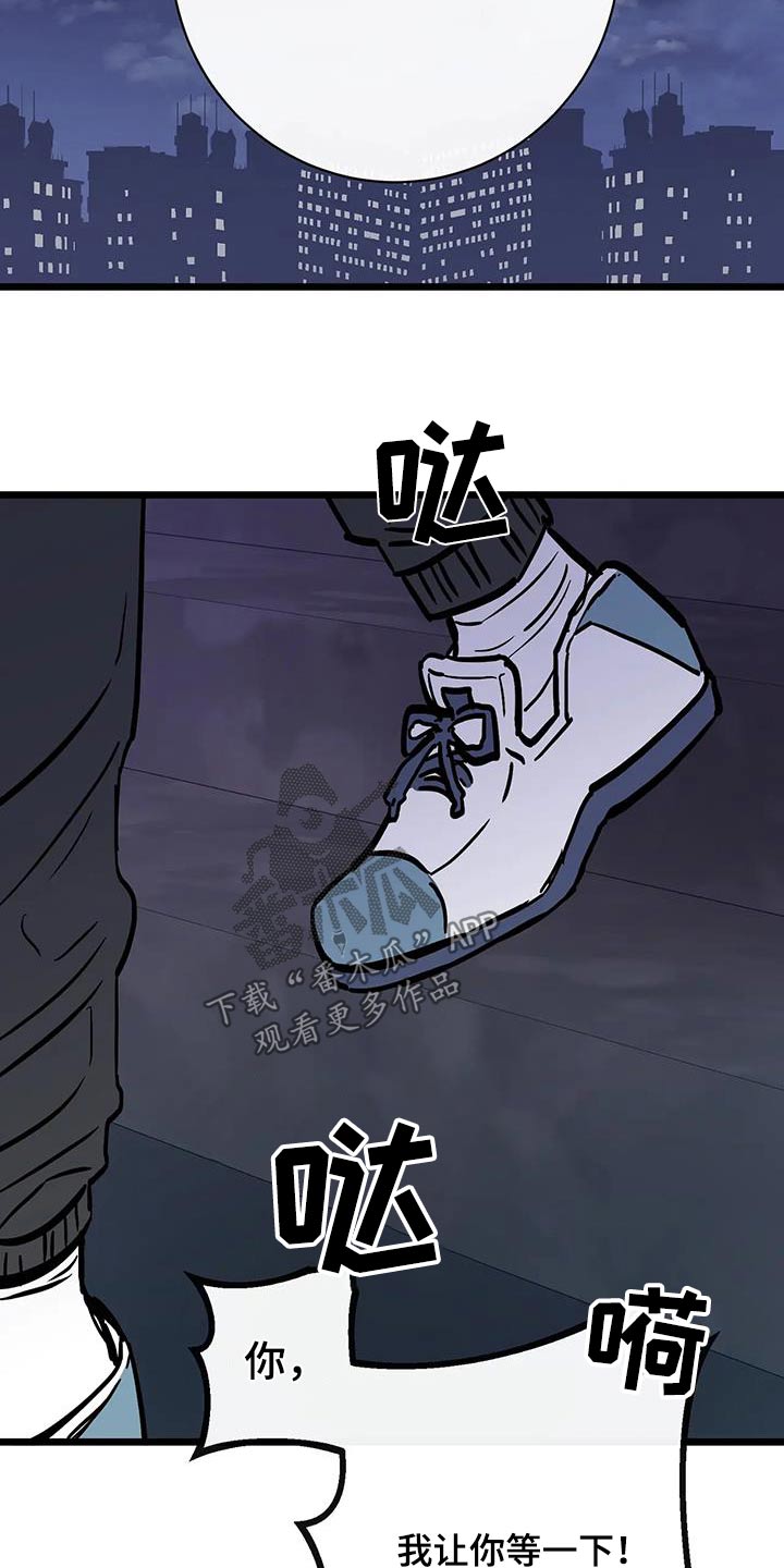 第29章：主张8
