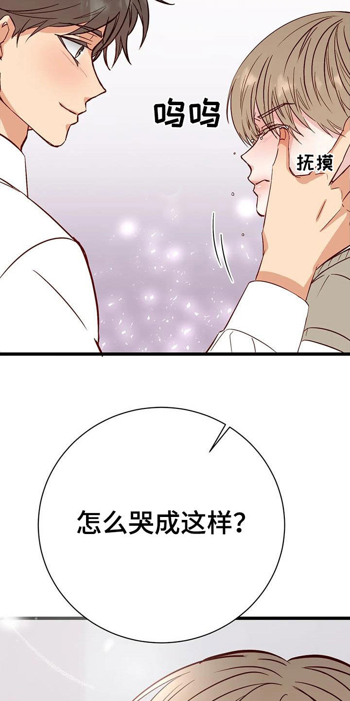 第35章：眼泪24