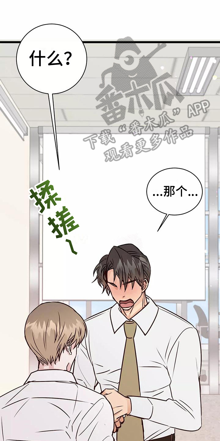 第16章：弱点0