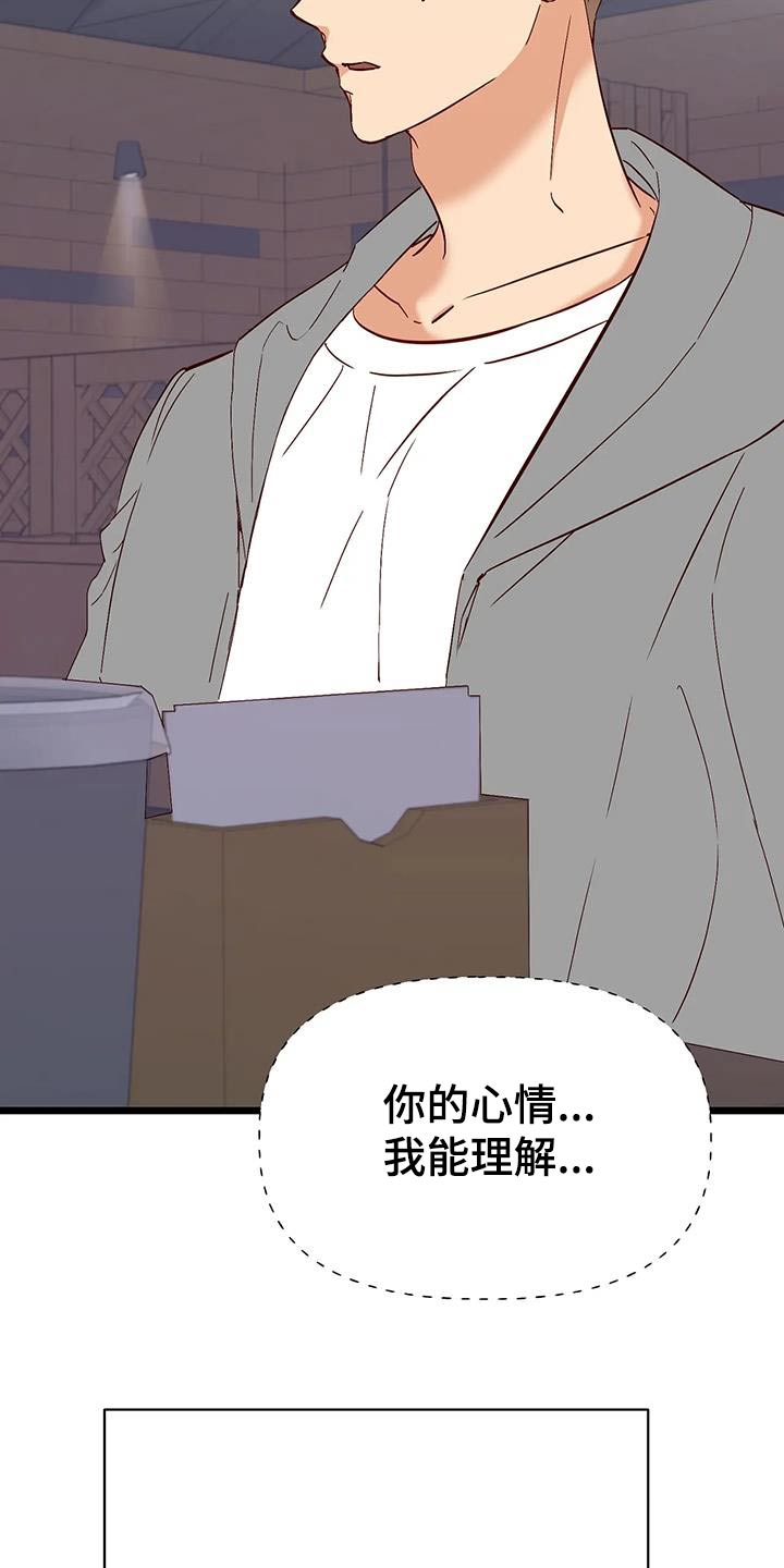 第56章：理解17