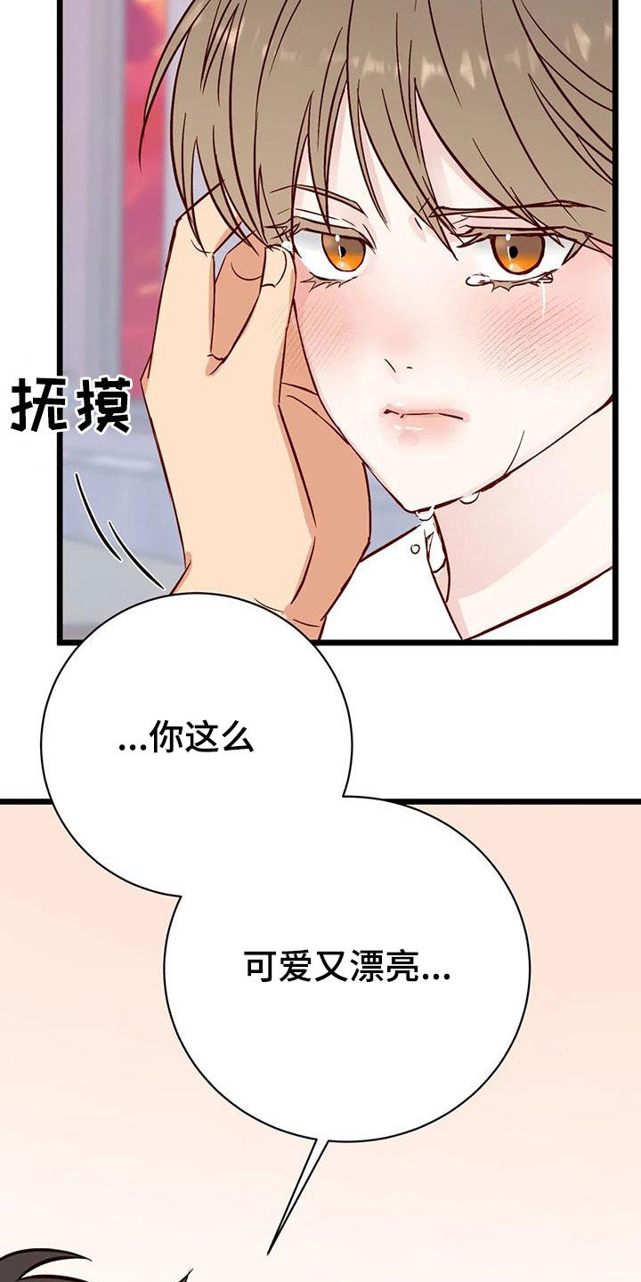 第35章：眼泪27