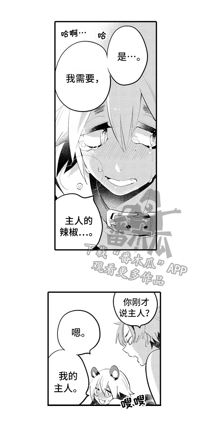 第15章：【番外】一无所有3