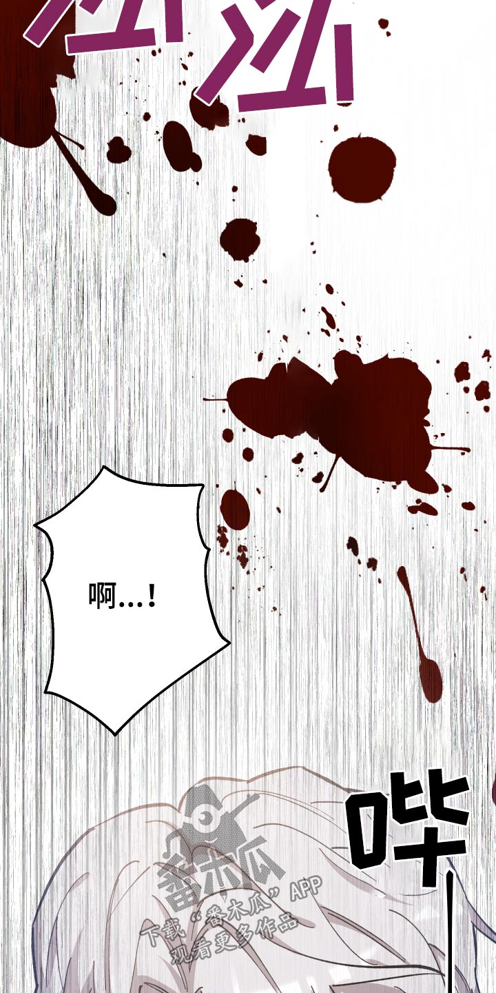 第33章：击杀17
