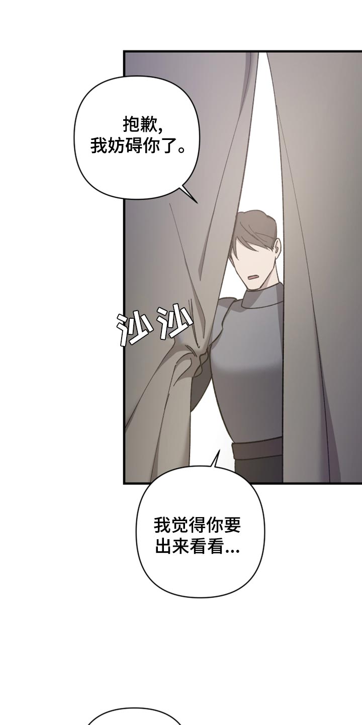 第41章：皇室的花纹20