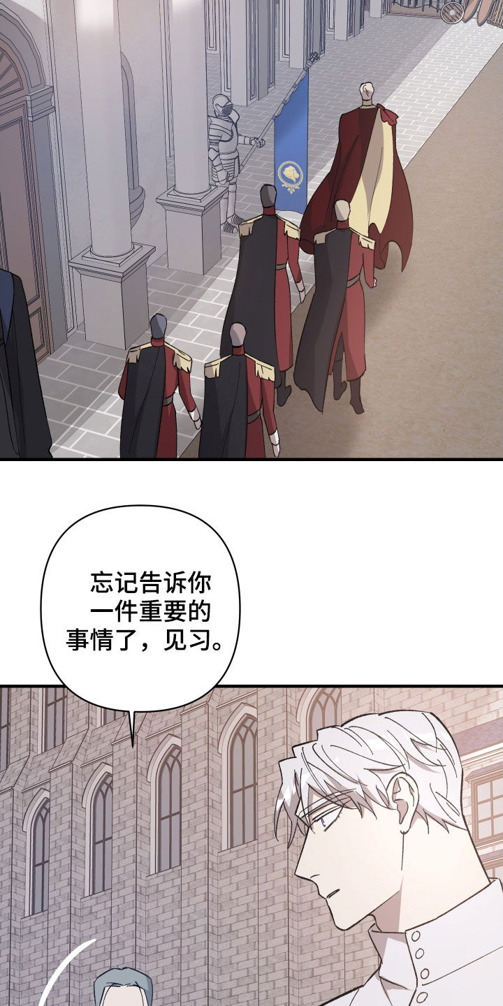 第13章：重要的事21