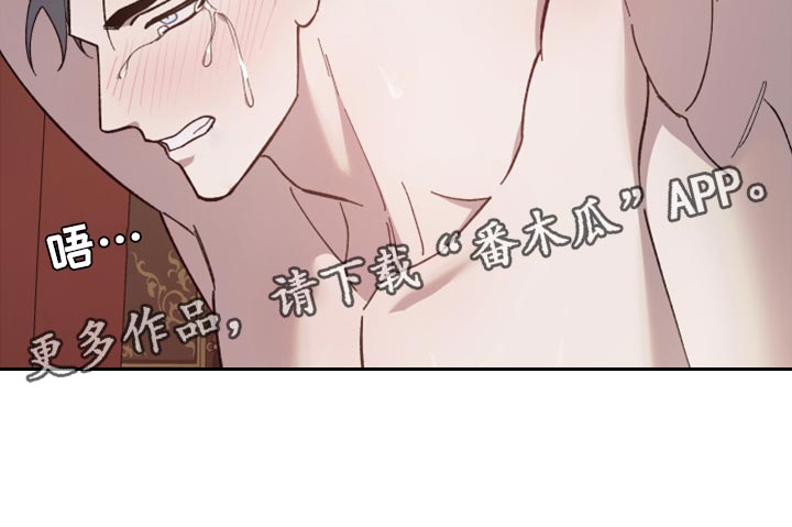 第46章：是你自找的16