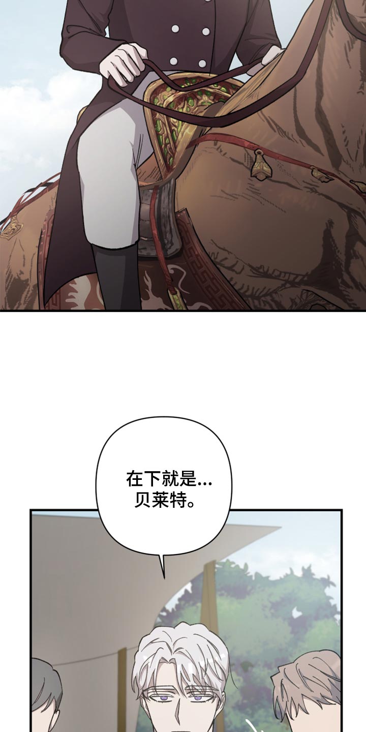 第41章：皇室的花纹24