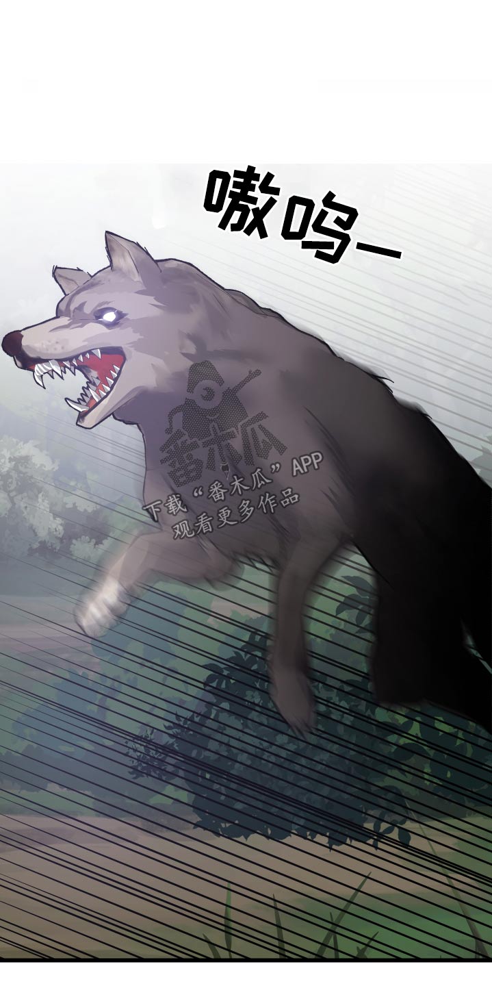 第38章：寻找29