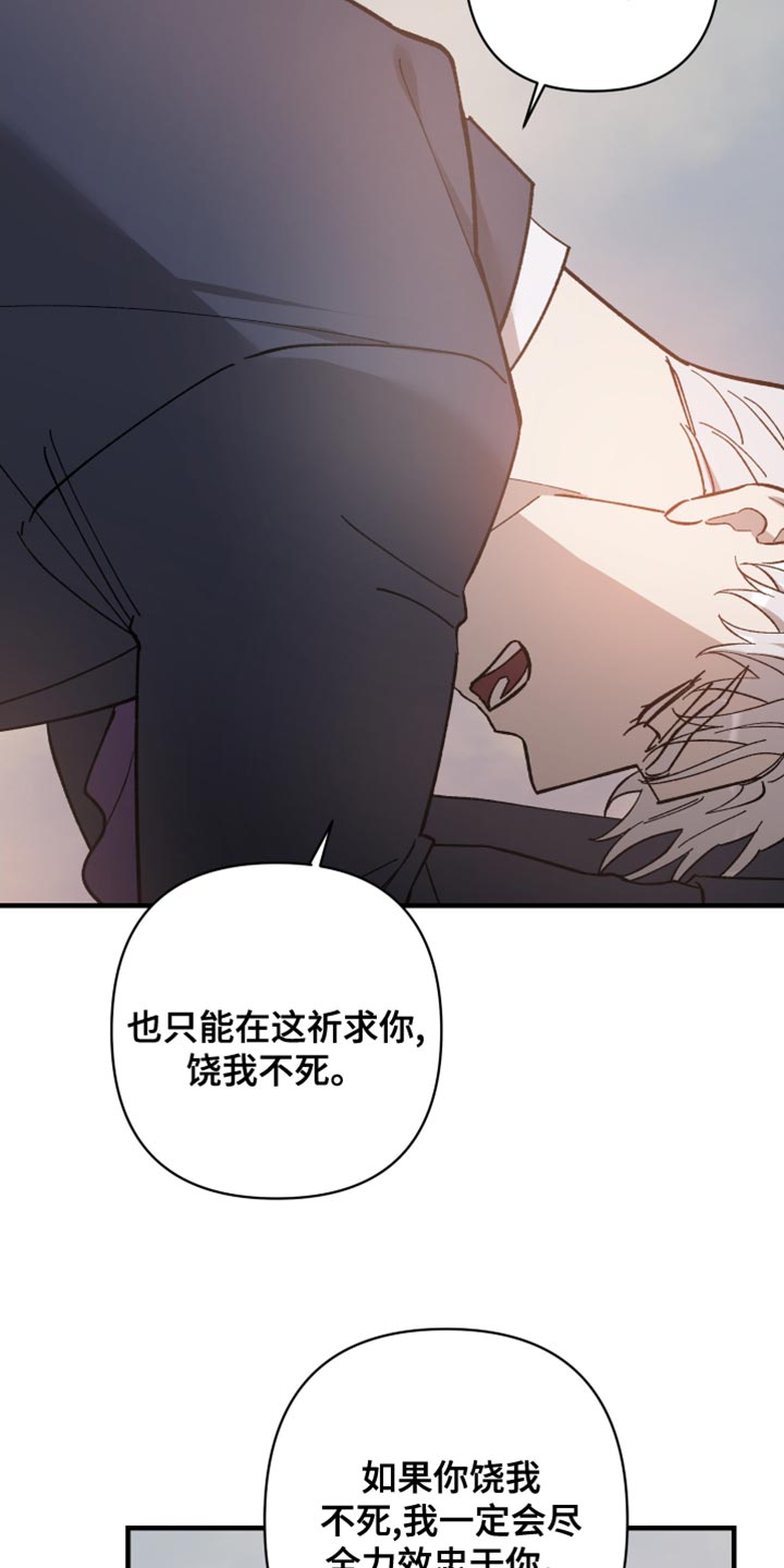 第54章：饶命啊26