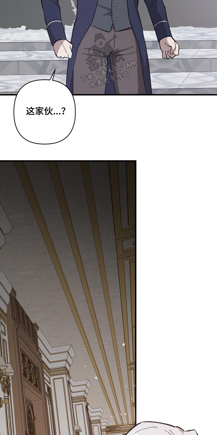 第28章：汇报11