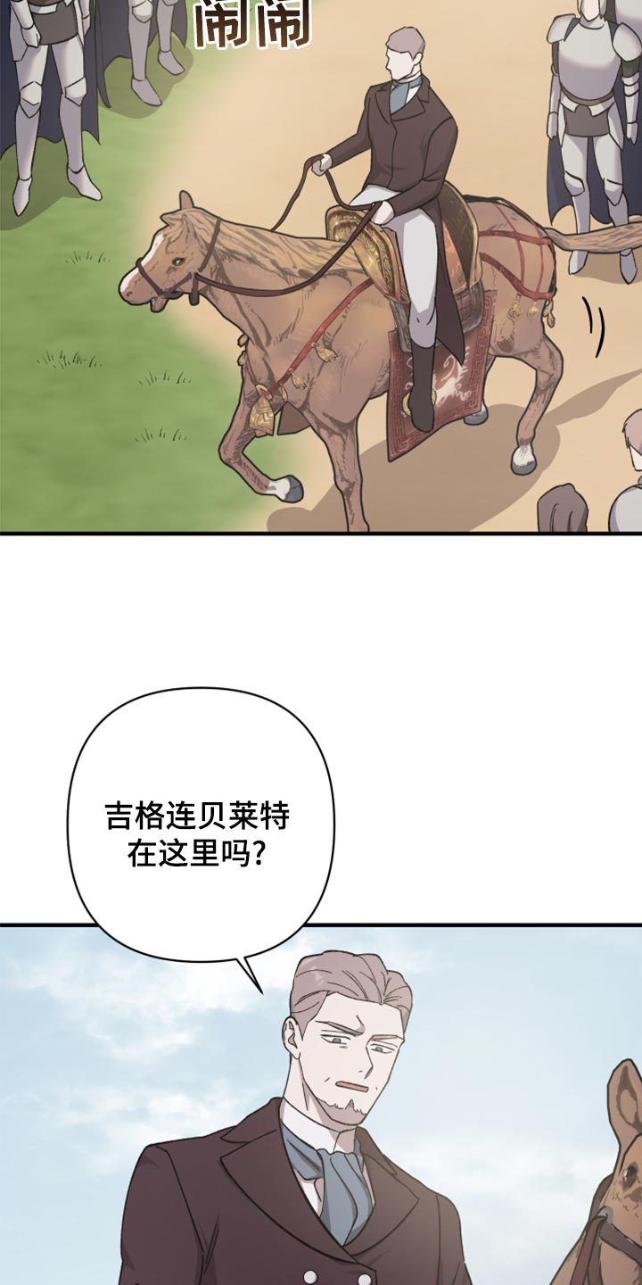 第41章：皇室的花纹23