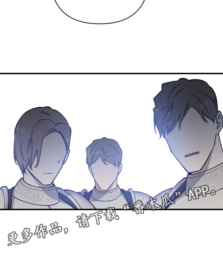 第41章：皇室的花纹32