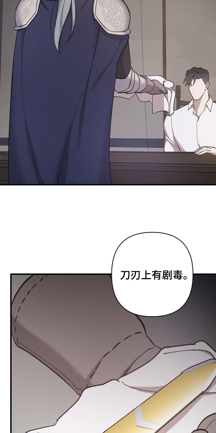 第41章：皇室的花纹12
