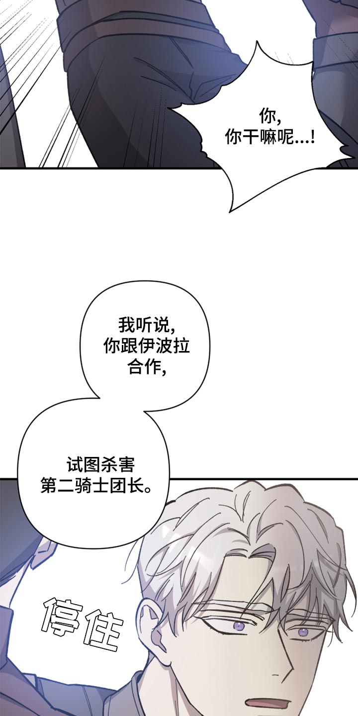 第41章：皇室的花纹27