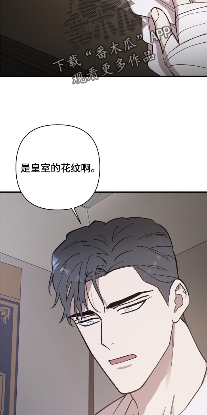 第41章：皇室的花纹18