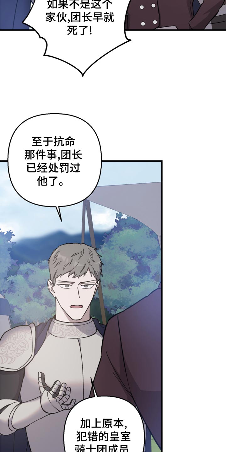 第41章：皇室的花纹30