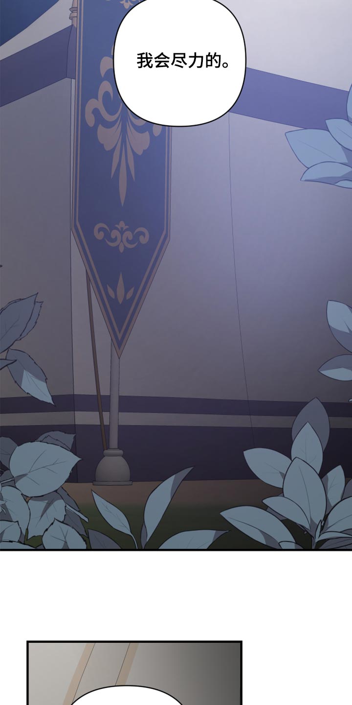 第41章：皇室的花纹9