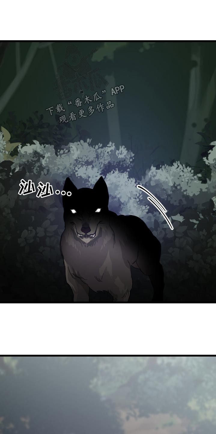 第38章：寻找26