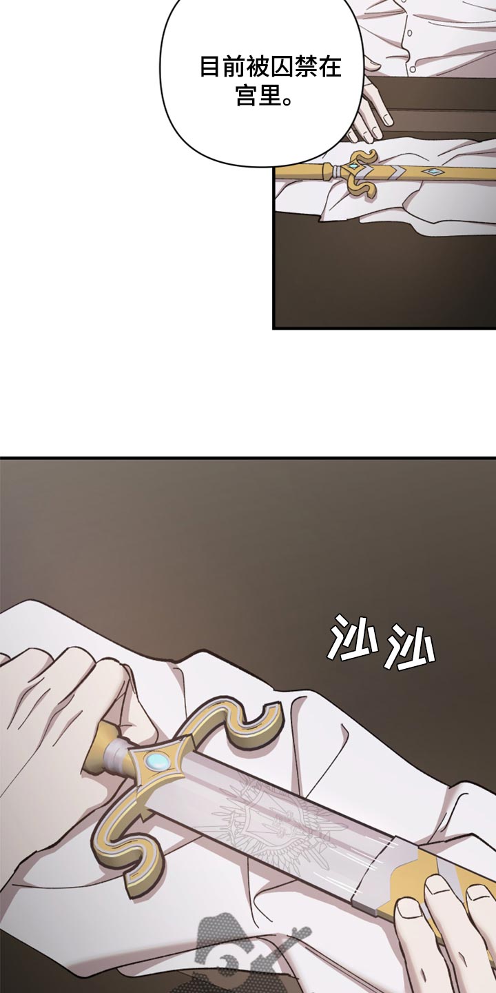 第41章：皇室的花纹17