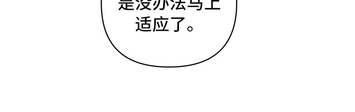 第10章：找茬28