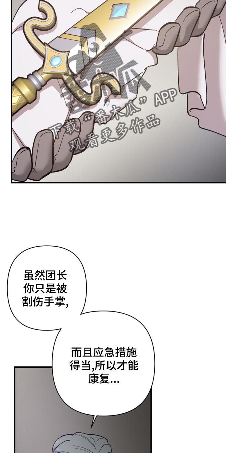 第41章：皇室的花纹13
