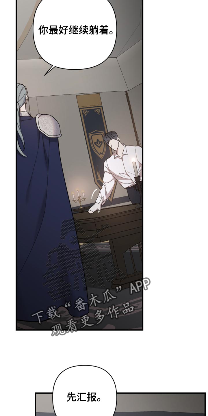 第41章：皇室的花纹10