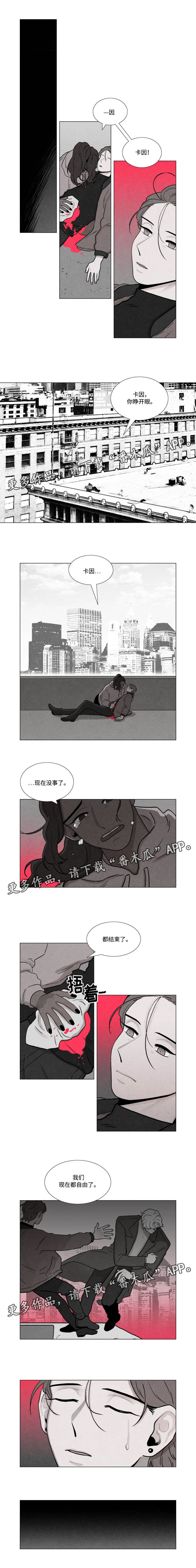 第29章：暗杀4