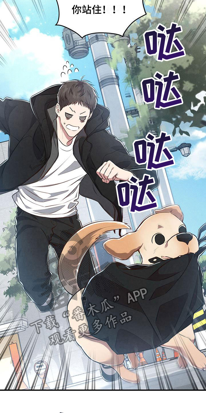 第8章：命运的指引18