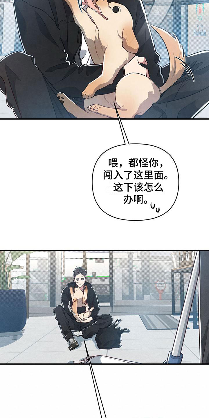 第8章：命运的指引23