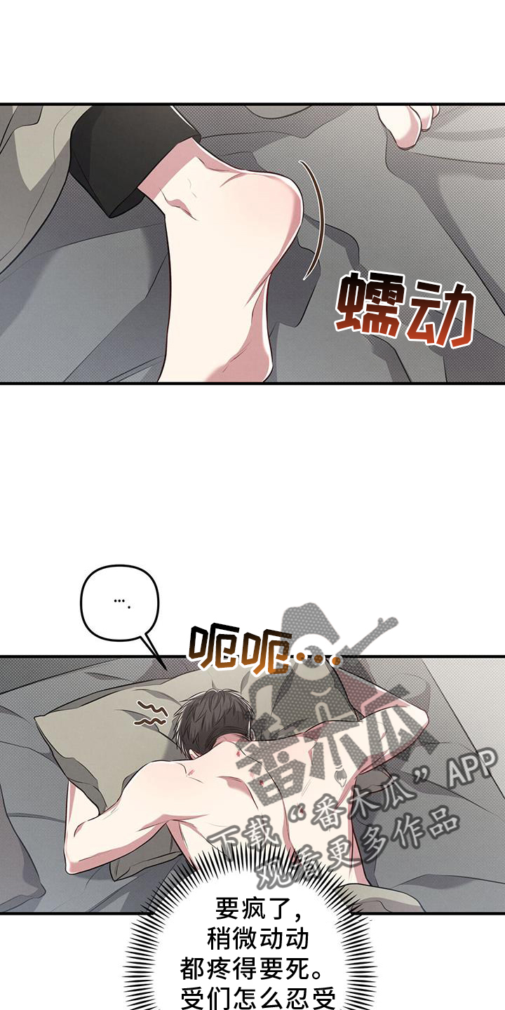 第51章：特别11