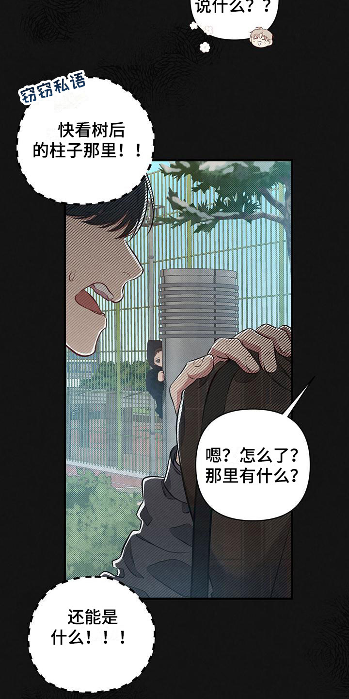 第12章：这个疯子22