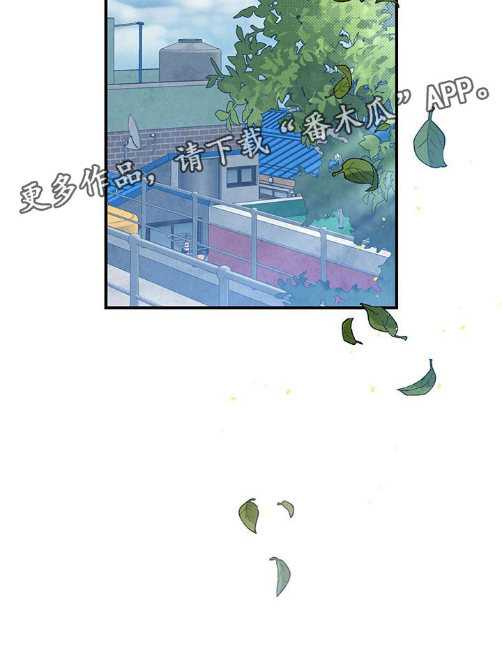 第21章：心意相通22