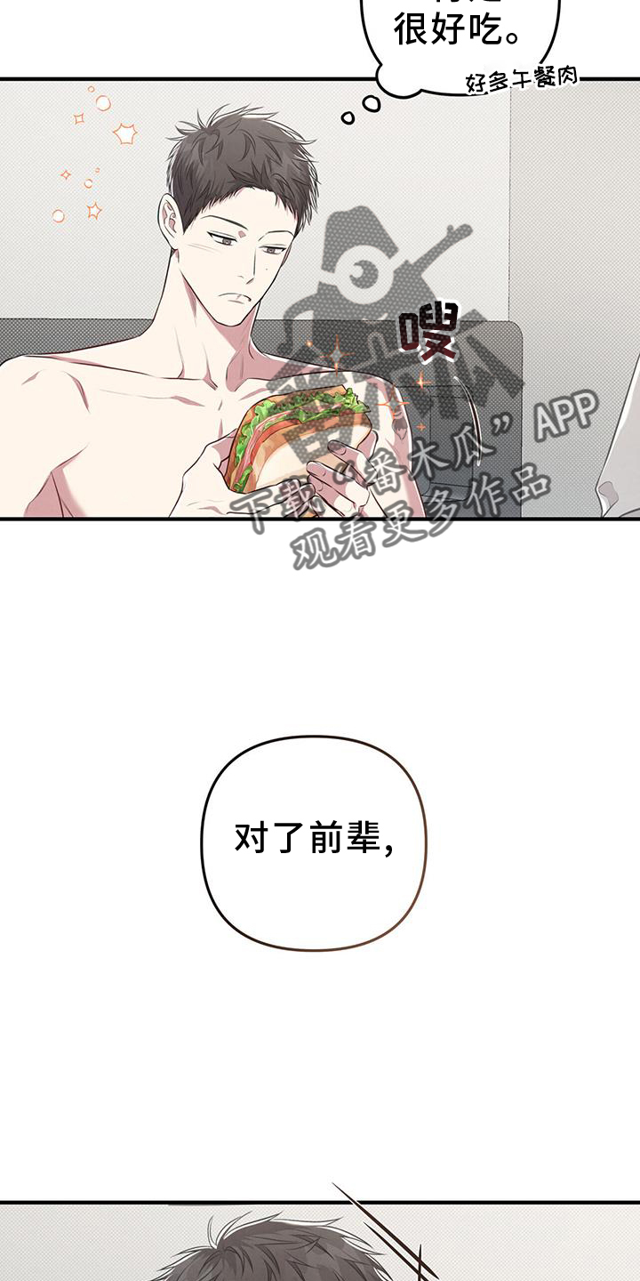 第51章：特别17