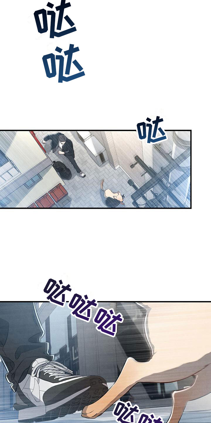 第8章：命运的指引19