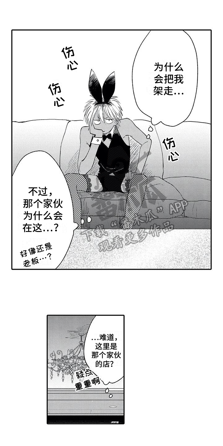 第5章：选择4