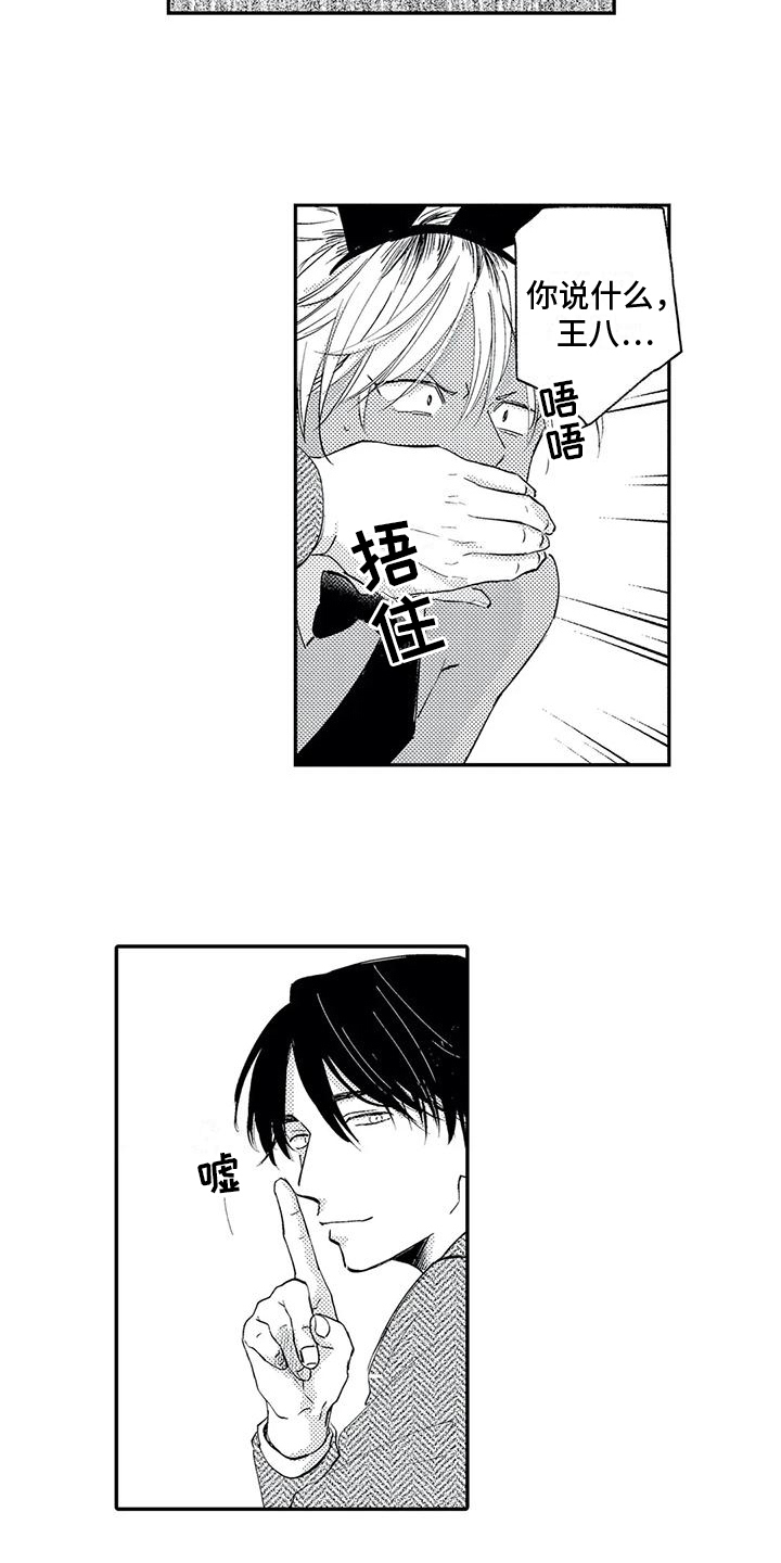 第5章：选择1